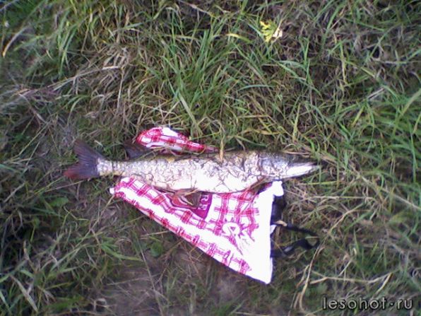 Photo-0001.jpg