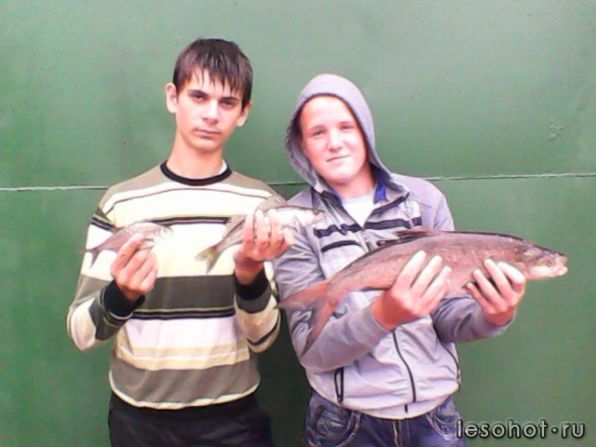 IMG0046A.jpg