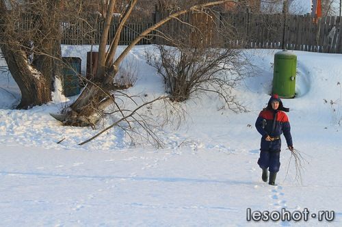 0_97f3d_81668a7a_L.jpg