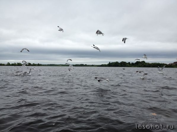 IMG_3169.JPG