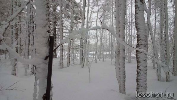 photo_00400.jpg