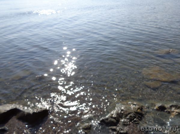 DSC00167.JPG