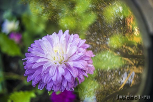 DSC_0034.jpg