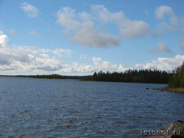 IMG_0991.JPG