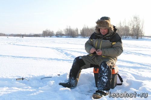 0_96879_d9b66c7a_L.jpg