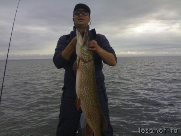 08102011 - �����.jpg