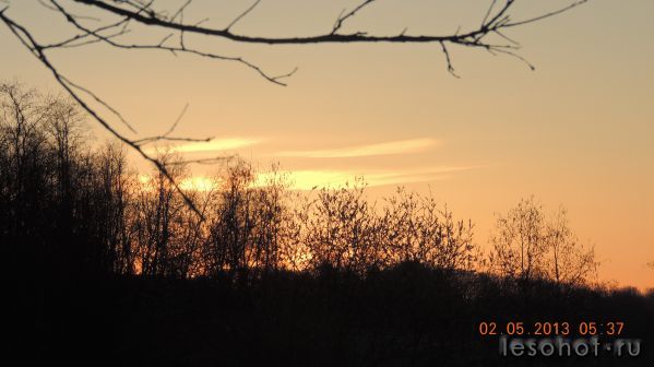 DSCN0251.JPG