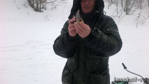 07042012006.jpg