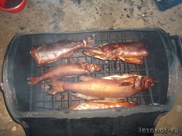DSCF2731.JPG