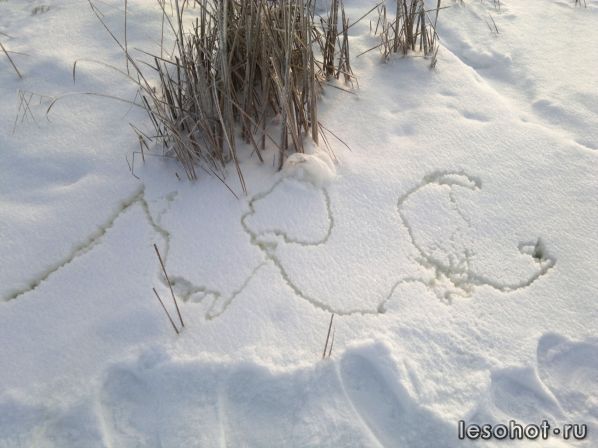 2013-01-12-1312.jpg