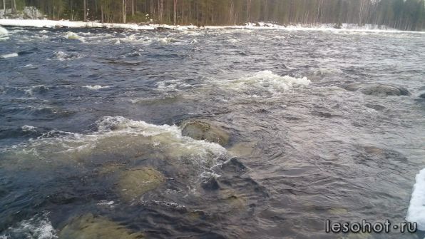 photo_00380.jpg