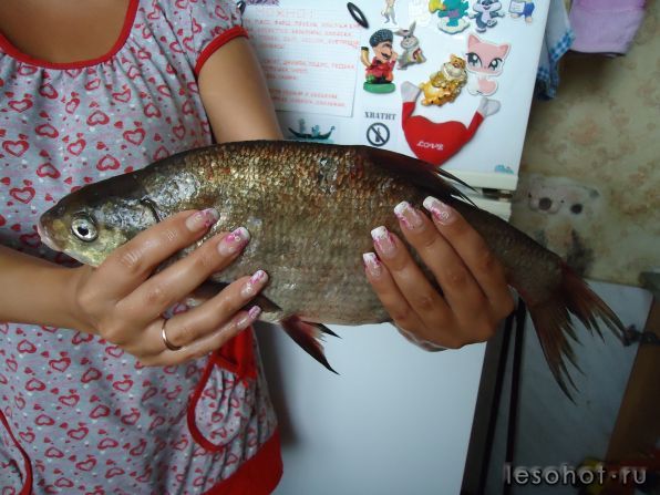  2012 047.JPG