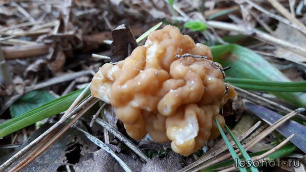 20180509_073710.jpg
