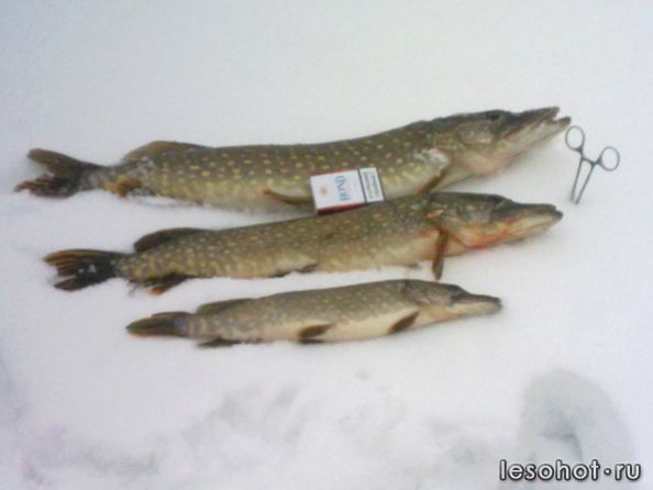 28022013161.jpg