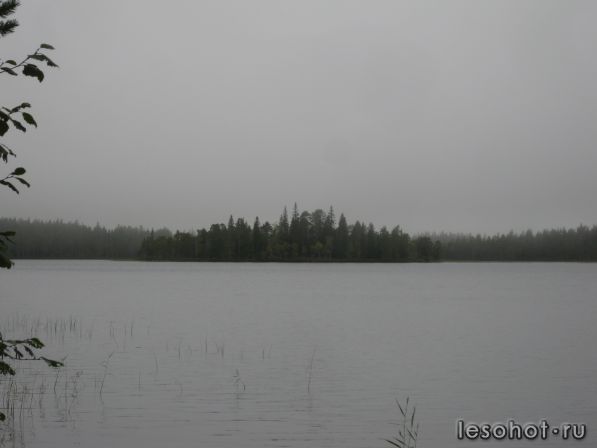 IMG_0018.JPG