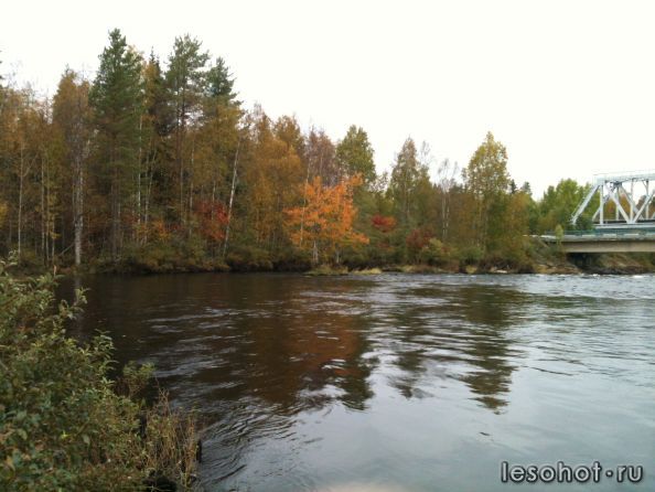 IMG_0398.jpg