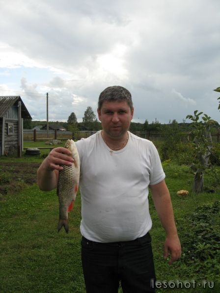 ���� ��� ��������