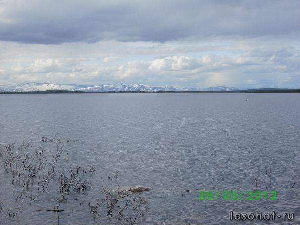 SANY0763.JPG