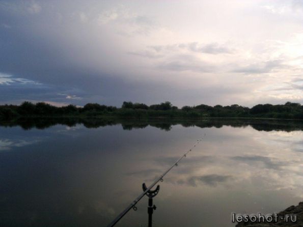 03092011217.jpg