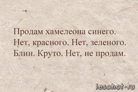 ��������.jpg