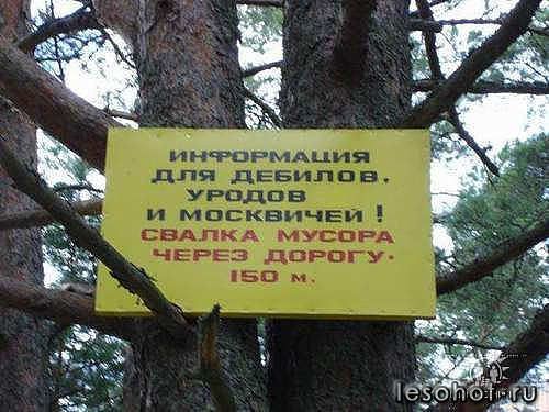f532d8974d929703e9e9b1dd6c82f014.jpg