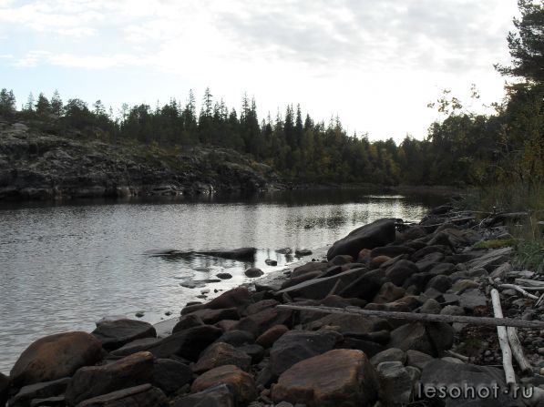SDC10038.JPG