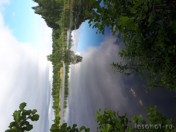20180613_175105.jpg