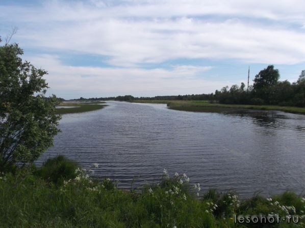 DSCF8541.JPG