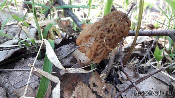20180514_084510.jpg