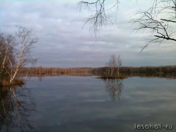 IMG_0677.jpg