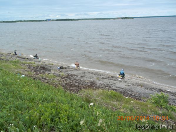 DSCN0954.JPG