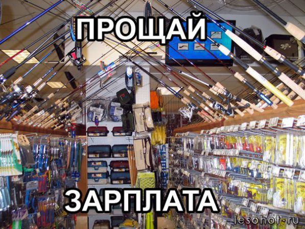 laPfLWp_S6o .jpg