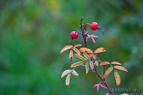 0_6c7f0_1b9305bc_XXXL.jpg
