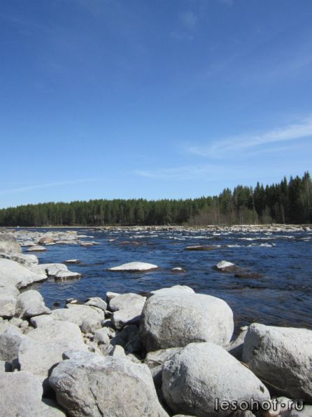 photo_00337.jpg