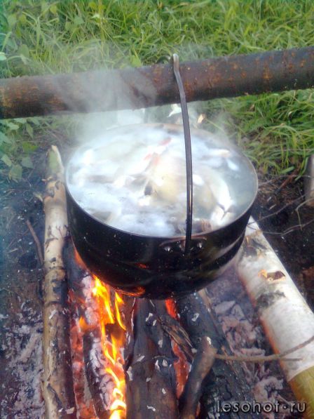 ���� ��� ��������