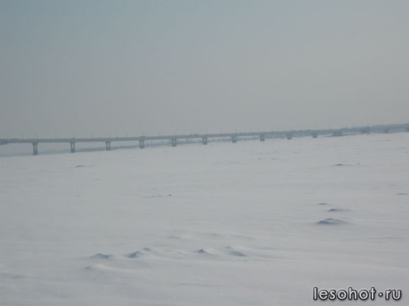 IMG_2695.JPG