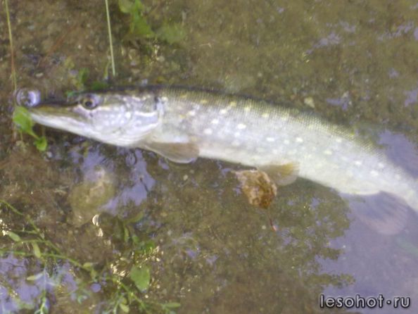 23082011271.jpg