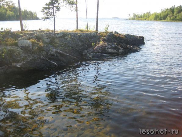 IMG_0048.JPG