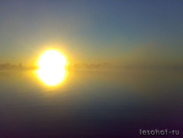 � �� ��������� �����-���� "���"