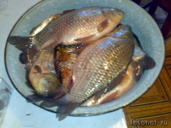 09102010390.jpg