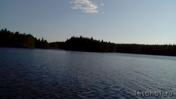 IMG_20140805_190504.jpg