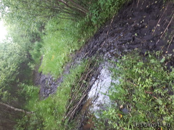 20180613_173526.jpg