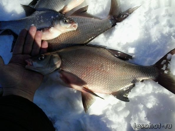 2013-03-29 18.13.24.jpg
