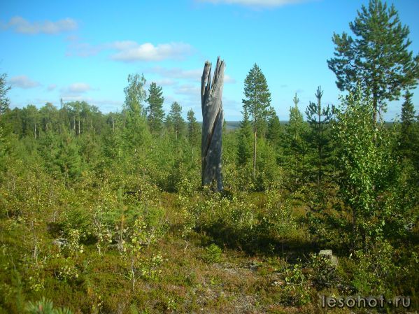 DSCN2935.JPG