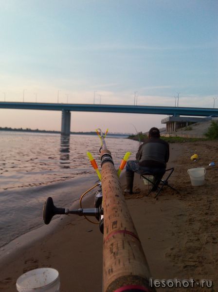 IMG_20130611_060900.jpg