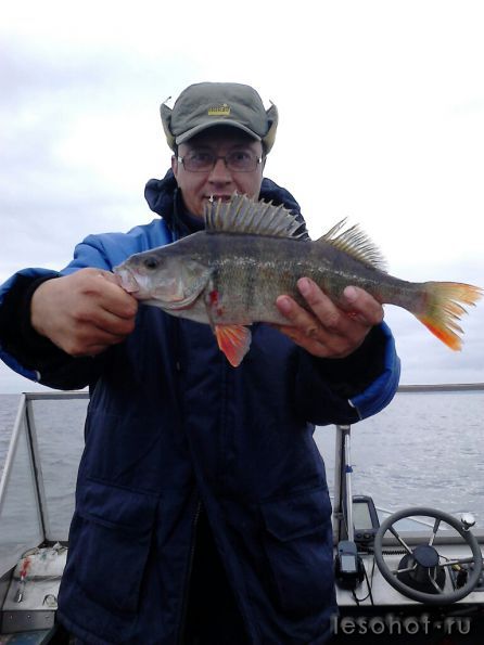 ���� 4-5���2013.jpg