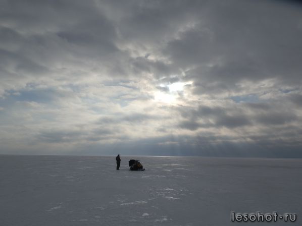 P2131164.JPG