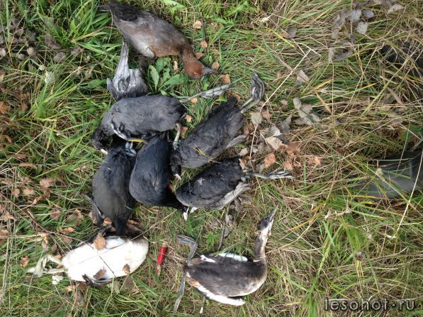 IMG_0927[1].JPG