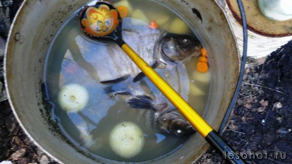 2012-04-30-313.jpg