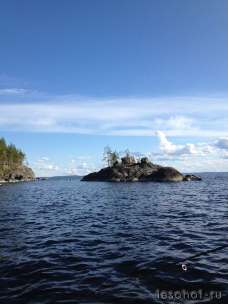 photo_00316.jpg